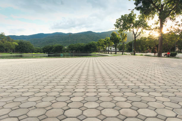 Best Driveway Pavers Near Me  in Morehead City, NC
